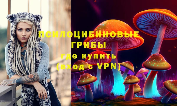 spice Осташков