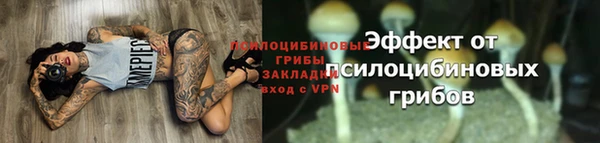 гашик Нягань