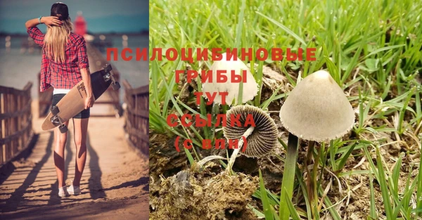 шишки Остров